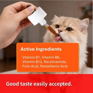Gotas de Complejo Vitamínico B Pevet para Cachorros y Gatitos, Refuerzan la Inmunidad, la Energía, la Salud de la Piel y el Pelaje, Suplemento Natural de Rápida Absorción y Seguro - Product Image 2