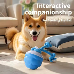 2025 <span class=keywords><strong>Wicked</strong></span> Dog Juguetes interactivos <span class=keywords><strong>para</strong></span> <span class=keywords><strong>perros</strong></span> Bolas chirriantes ecológicas Bolas rodantes activas automáticas hechas de TPR y PC <span class=keywords><strong>para</strong></span> gatos - Product Image 6