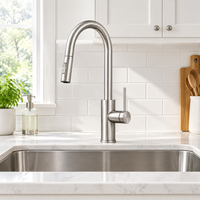 Robinet de cuisine moderne en acier inoxydable 304 nickel brossé à douchette extractible à double fonction et levier latéral, vente en gros