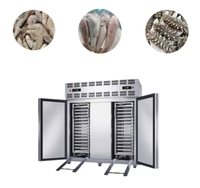 Congélateur à choc commercial de petite taille -45°C ° Armoire de congélation rapide pour la conservation des aliments surgelés et des boulettes de fruits de mer