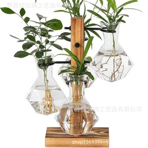 Soporte creativo de madera y vidrio para plantas pothos, macetas de vidrio con múltiples orificios, decoración de escritorio. - Product Image 1
