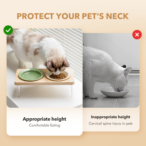 Bols en céramique surélevés 2-en-1 anti-vomissement pour chiens et chats, support en bois et acrylique, logo OEM, vente en gros éco-responsable Shamitao - Product Image 4