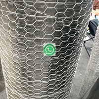 Grillage hexagonal en acier galvanisé à chaud, revêtu de PVC argenté, perforé, pour barrière anti-chute de pierres, clôture animale, soudage et pliage