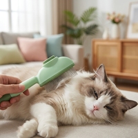 Brosse Éco-Responsable Anti-Puces pour Poils de Chat et Chien, Outil de Toilettage Multifonction à Dents Fines en Plastique pour Chats et Chiens, Utilisation Quotidienne