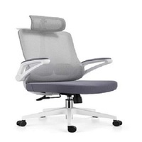 Chaise de bureau ergonomique en maille avec accoudoirs réglables et coussin lombaire, chaises de bureau modernes personnalisables avec logo