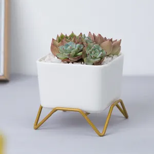 Garden Home Decor Moderne Desktop Indoor Square Keramik Sukkulente Pflanz gefäße Würfel töpfe mit Metall fuß ständer