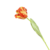 Tulipes perroquet imprimées à la main en 3D-Fleurs réalistes pour la décoration de la maison, arrangement floral, accessoires de photographie de mariage