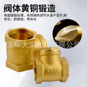 Válvula de Retención Horizontal de Cobre DN50 con Estructura de Disco Único para Sistemas de Agua - Product Image 3