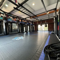 Support mural extérieur pour studios de fitness avec barre de traction et support de sac de vitesse de boxe, conçu pour les combattants professionnels