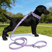 Collier personnalisé en PVC pour animaux de compagnie avec étiquette nominative, réglable et étanche pour chien et chat - Vente en gros directe usine