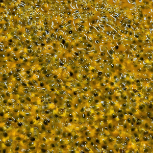 PREMIUM QUALITY FROZEN PASSION FRUIT JUICE PUREE CUBES <b>TABLETS</b> FROM VIETNAM - Product Image 1