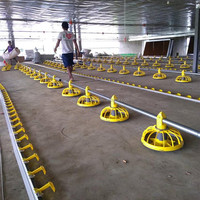 Tunnel De Ventilation Poulailler Poulailler Équipement De Ferme De Poulet Aux Philippines