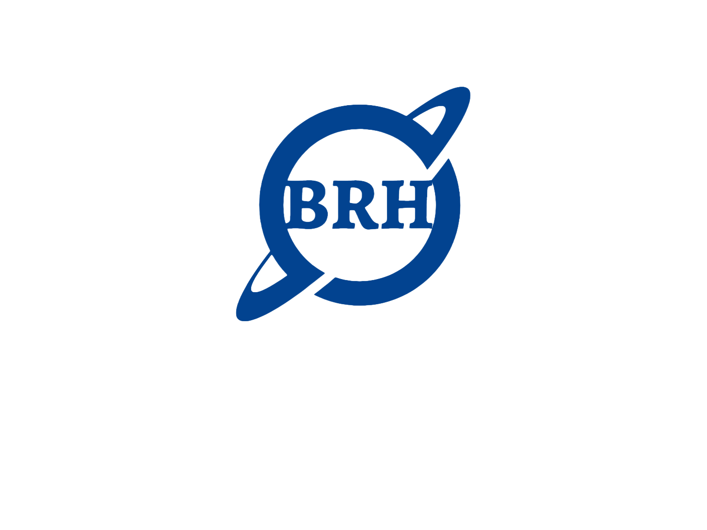 Shanghai Boruihong Industrial Trading Co., Ltd. logo
