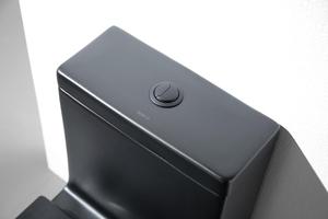 Inodoro de una pieza montado en el suelo con chorro de sifón de cerámica negro moderno de las ventas calientes de <span class=keywords><strong>Bolina</strong></span> - Product Image 6
