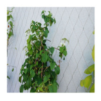 Hot Sale unsichtbare Unterstützung Klettern etz SS Seil Mesh für Pflanzen grüne Wand im Freien