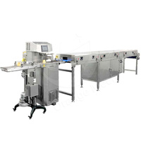 ORME Chocolat Degré Entièrement Automatique Tunnel Enrobe Moule Chocolat Revêtement et Refroidissement Machine
