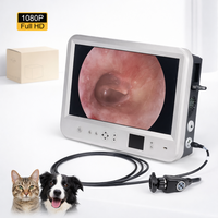 Sistema de Endoscopia Animal Todo en Uno con Grabación de Video para Cirugía con Endoscopio Rígido, Pantalla LCD de 22 Pulgadas