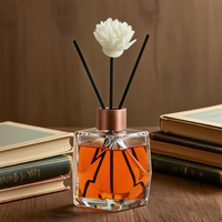Recharge vide personnalisée bouteille d'eau de parfum d'air 50ml 100ml 250ml vide rotin diffuseur parfum bouteille en verre décoration de la maison