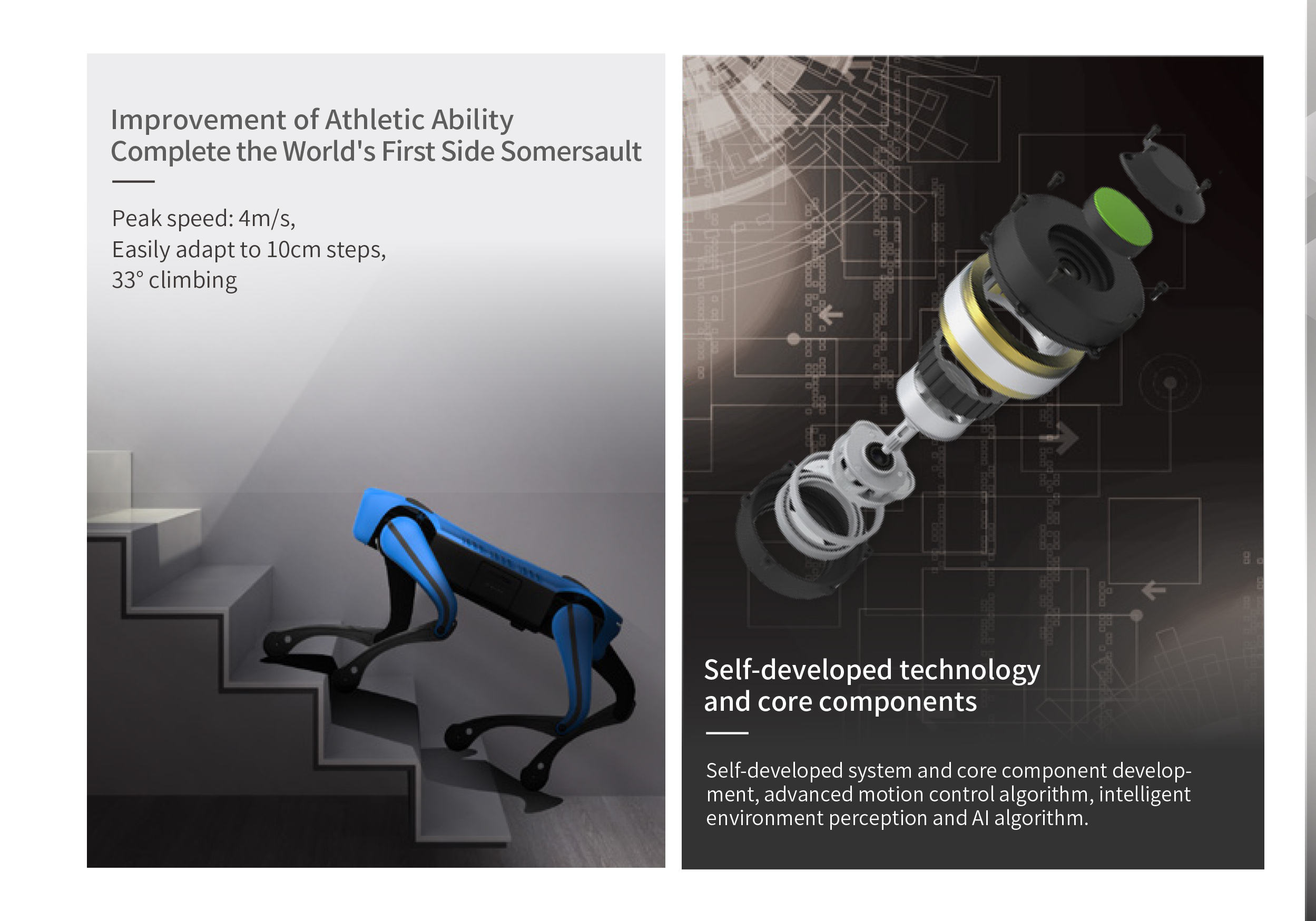 Smart Robotics Programmable Secondary Development Interface Robot Dog AI Quadruped Robot Dog