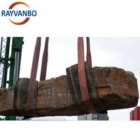 Yüksek Mukavemetli En İyi Fiyat %100 Polyester Yuvarlak Kaldırma Askısı CE GS Onaylı RAYVANBO Marka 1-50 Ton Kapasiteli