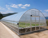 Serre tunnel agricole à simple travée en film plastique haute performance pour la culture de tomates en pépinière