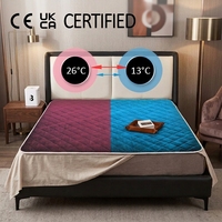 Système de refroidissement intelligent pour lit contrôlé par application, 8 fonctions de sommeil, matelas chauffant et rafraîchissant à eau, solution de sommeil intelligente