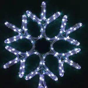 Outdoor Street Holiday Christmas Decoration LED 2d Cold White Snowflakes Motif Light