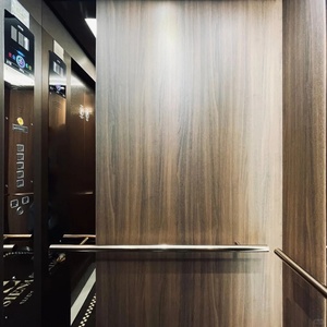 Ascenseurs résidentiels hydrauliques sans gaine OTIS Modern2-5 étages, ascenseur pour maison, villa, ascenseur pour passagers, ascenseur pour la maison - Product Image 5