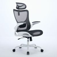 Meilleure vente de chaise de bureau d'ordinateur ergonomique en maille de haute qualité Support dorsal d'atelier de confort Appui-tête réglable Design moderne
