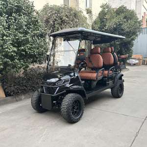 Shininglsv Fabrikant Snelle 7.5 Motor 6 Passagiers Elektrische Club Auto Off-Road Straat Legale Jacht Nutswagen - Product Image 3