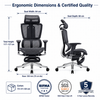 Chaise de bureau ergonomique moderne à dossier haut en maille, double soutien lombaire, accoudoirs 3D réglables, base étoile à cinq branches, pivotant à 360 degrés pour