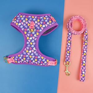 मिडेपेट लक्जरी डिजाइनर पॉलिएस्टर पालतू जानवरों का उपयोग छोटे मध्यम बड़े पालतू जानवरों के लिए लेश सेट प्यारा समायोज्य सेट - Product Image 6