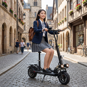 Nuovo Monopattino Elettrico Pieghevole da 10 Pollici per Adulti, Fuoristrada, in Acciaio, Carico Massimo 150kg, Portatile, Lunga Autonomia, per Pendolarismo e Campus - Product Image 6