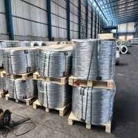 Fil électrogalvanisé Q195 Q235 de 0,71 à 4,19 mm, directement de l'usine, emballage en bobine personnalisé pour treillis de construction