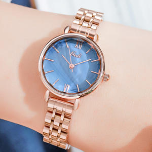 Montre pour femme haut de gamme, petit cadran, bracelet en acier, élégante, étanche, montre à quartz en acier inoxydable - Product Image 4