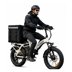 Bicicleta Eléctrica para Servicio de Mensajería, 48V 50AH, 200km de Autonomía, Neumático Grueso de 20 Pulgadas, Bicicleta Eléctrica de Carga con Motor de Alta Velocidad, Opción de Venta al Por Mayor - Product Image 1