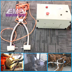 Machine d'étourdissement électrique 10-50 pour <span class=keywords><strong>abattoir</strong></span> professionnel de truies de porc Outil d'<span class=keywords><strong>abattoir</strong></span> pour équipement d'abattage de porc - Product Image 3