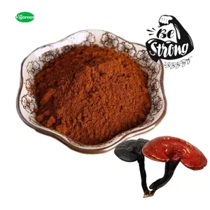 Estratto naturale puro campione libero di Ganoderma salute 30% organico polisaccaridi Reishi fungo estratto