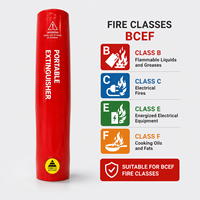 Extincteur aérosol portable, mini unité de suppression d'incendie pour la maison et la voiture, prise en charge du logo personnalisé OEM