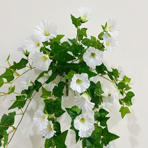 65cm Morning Glory Fleur Artificielle Décoration Murale Maison Tenture Murale <span class=keywords><strong>Chloris</strong></span> pour la Saint Valentin et le Nouvel An - Product Image 2