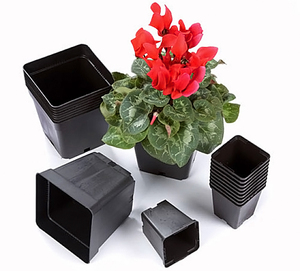 Pots à fleurs en plastique de couleur noire, jardinières, plateaux pour pots, petits pots carrés pour plantes succulentes - Product Image 4