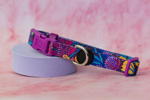 Collier pour chien à prix avantageux, gamme de prix abordable, fabricant en gros, collier pour chien durable et élégant, accessoire pour animaux de compagnie réglable - Product Image 6