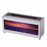 Prix de Gros Humidificateur d'Air de Bureau Rectangulaire Effet Flamme 3D Cheminée Diffuseur d'Arômes avec Télécommande pour Maison et Bureau