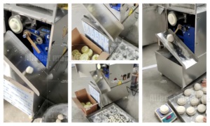 Offre Spéciale Allbest ABFT-D600 nouvelle machine à pâte à pizza capacité 200-300 kg/h 110V/220V pour une production de pâte efficace à la ferme - Product Image 4