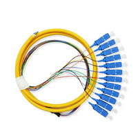Factory Direct Price 12-Core 0.9mm SC/UPC/APC Single Mode Fibre Bundle Pigtail 1M Available Fibre Optic Patch Cord