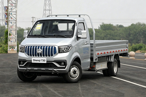 Camioneta Ligera Changan Kaicheng Shenqi T30EV Directo de Fábrica, 4x2, Cabina Simple de 2 Plazas, EV, Distancia entre Ejes de 3600 mm, Suspensión de Ballestas - Product Image 2