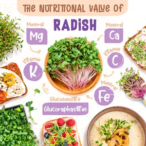 Radis <span class=keywords><strong>bio</strong></span> 200 G Rambo Microgreens Kit de culture de paquets de truies de <span class=keywords><strong>jardin</strong></span> Truies de <span class=keywords><strong>jardin</strong></span> pour la plantation et la suspension en intérieur - Product Image 2
