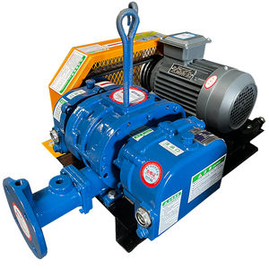 Soplador de Raíces para Tratamiento de Aguas Residuales a Pequeña Escala - Flujo de Aire Compacto y Estable y Directo de Fábrica - Product Image 1