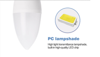 Prix d'usine, vente en gros, batterie Smd 12V, 110V, 5W, 7W, E14, E27, B22, ampoule Led, forme de bougie blanche, ampoules Led à flamme scintillante