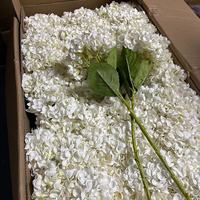 Bunga Hydrangea Sutra Buatan untuk Dekorasi Rumah, Pernikahan & Hari Ibu Natal Merek QSLH Model QSLH-P045